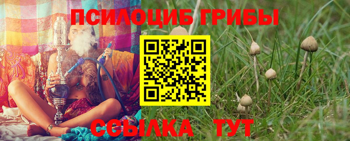 Галлюциногенные грибы GOLDEN TEACHER Новоуральск